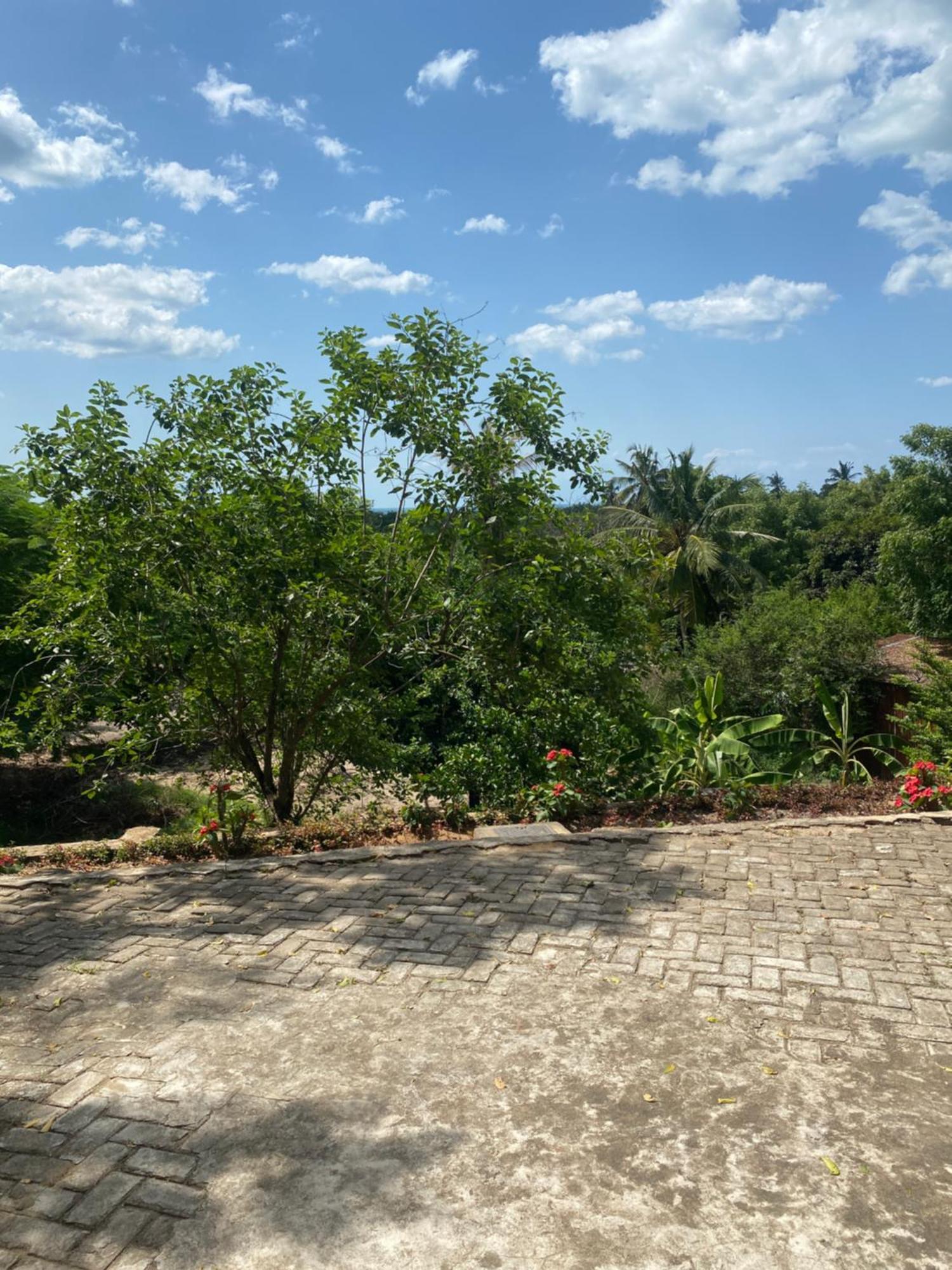 Mikoko Beach & Cottages Bagamoyo Esterno foto