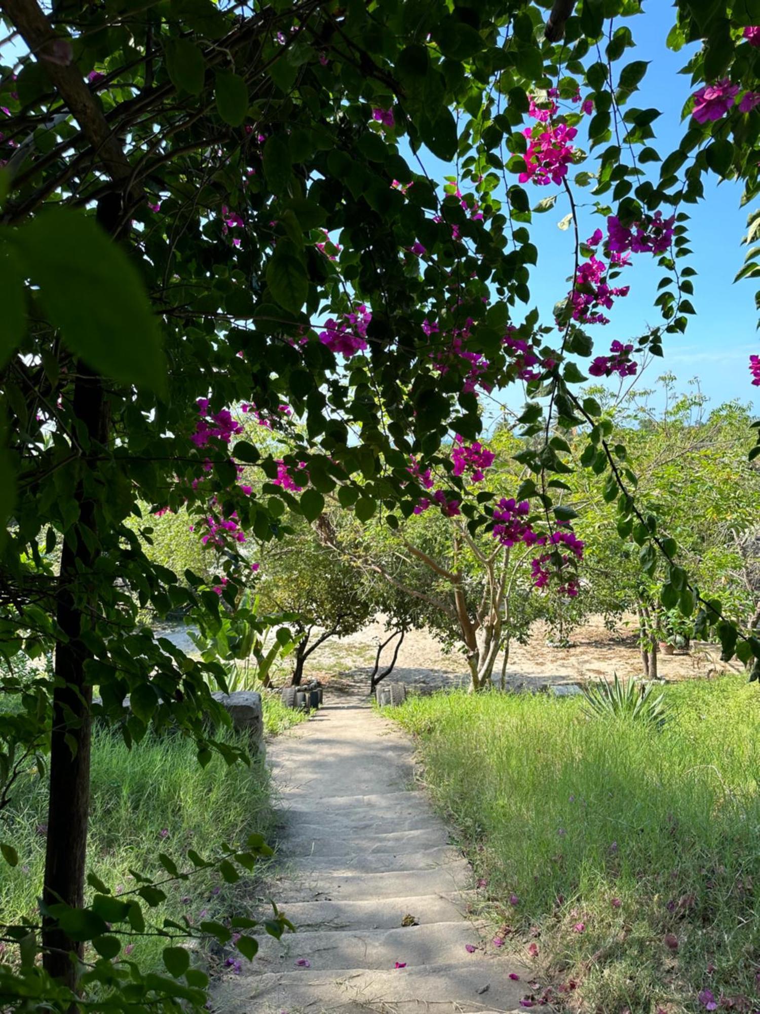 Mikoko Beach & Cottages Bagamoyo Esterno foto